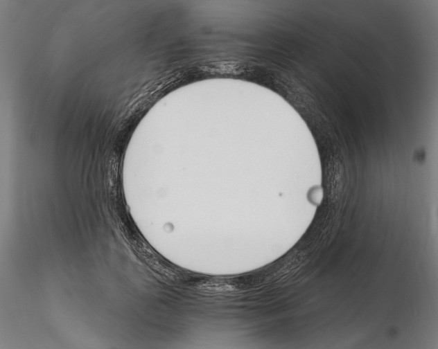 X0000115080747200912081211