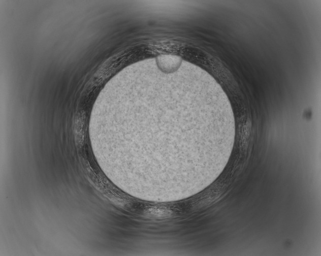 X0000115080749200912081211