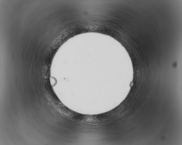 X0000115080750200912081211