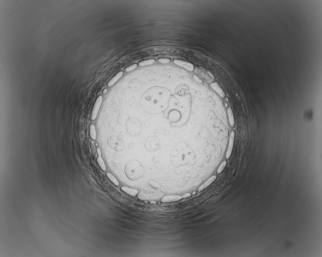 X0000115080751200912081211