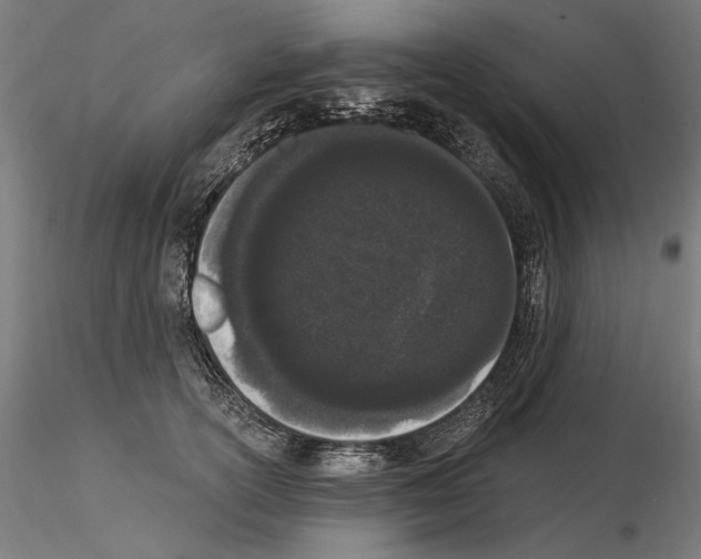 X0000115080754200912081211