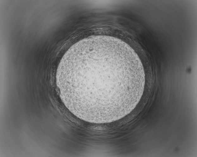 X0000115080755200912081211