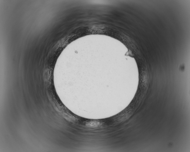 X0000115080759200912081211