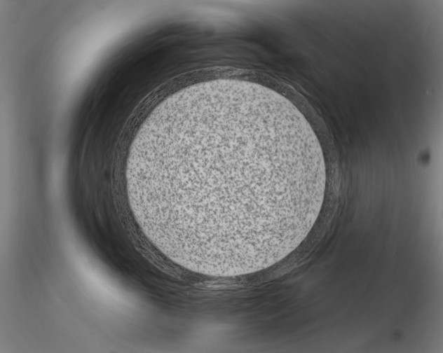 X0000115080763200912081211