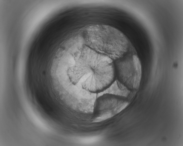 X0000115080765200912081211