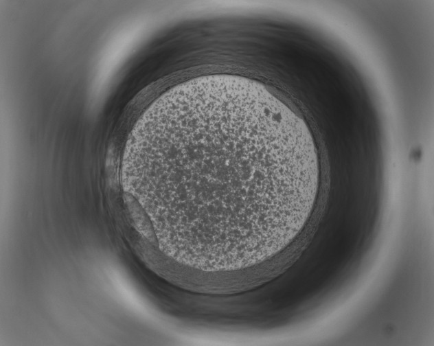 X0000115080766200912081211