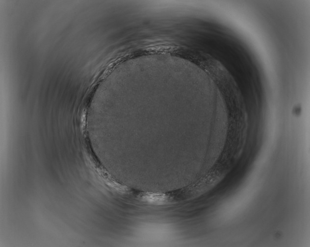 X0000115080767200912081211