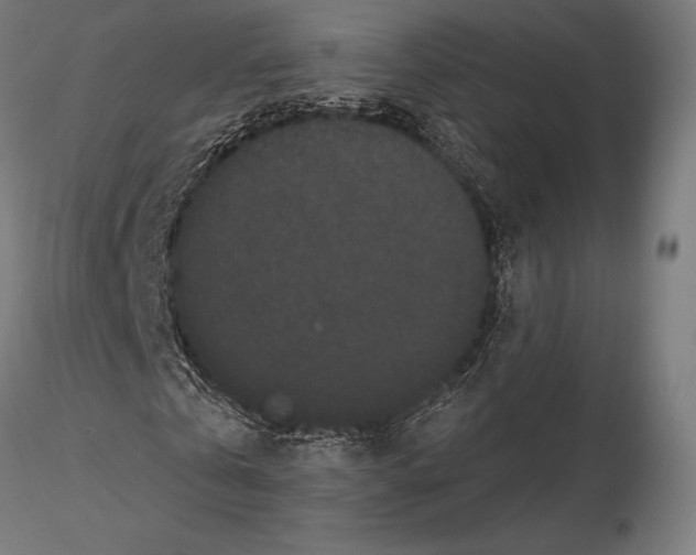 X0000115080769200912081210