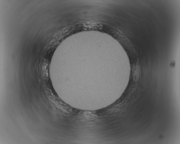 X0000115080770200912081210