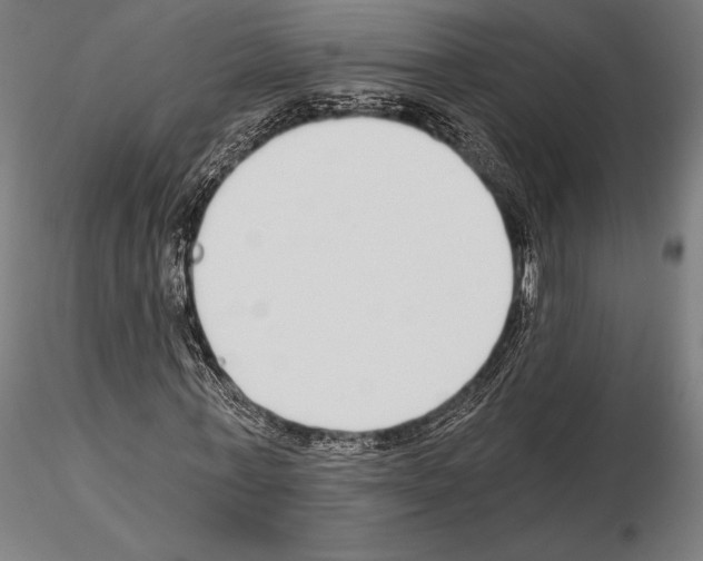 X0000115080771200912081210