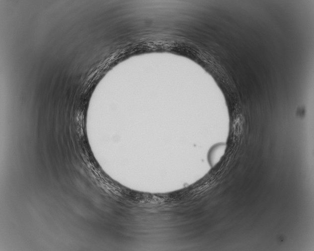 X0000115080772200912081210