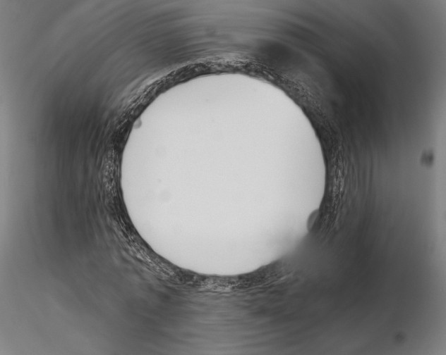 X0000115080773200912081210