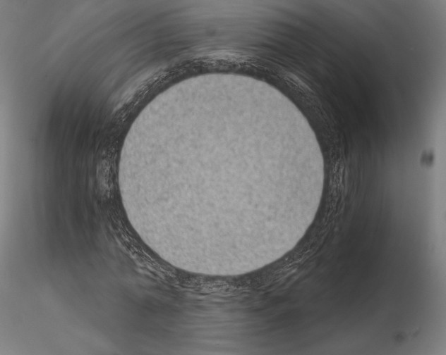 X0000115080774200912081210