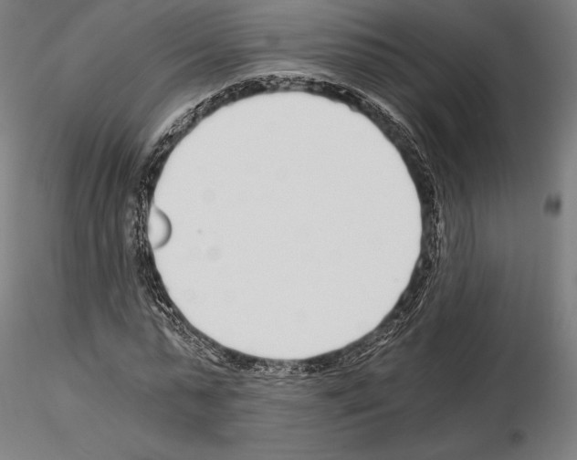 X0000115080775200912081210