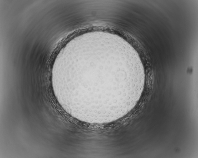 X0000115080776200912081210