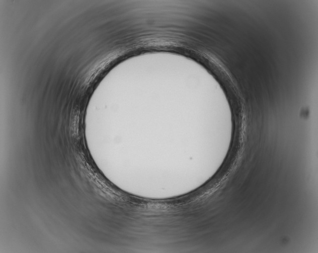 X0000115080777200912081210