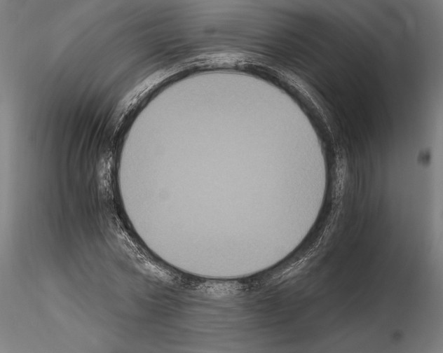 X0000115080778200912081210