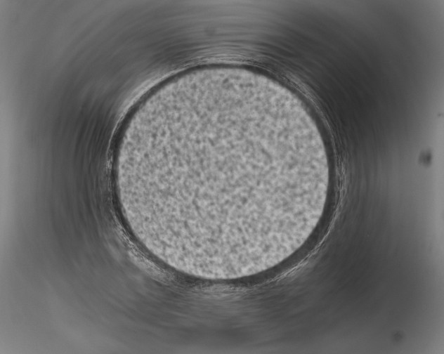 X0000115080779200912081210