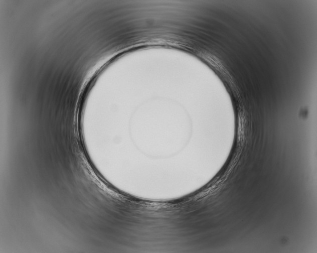 X0000115080780200912081210