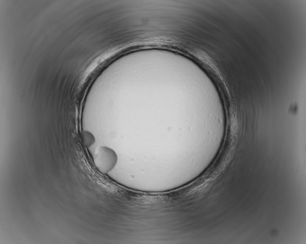 X0000115080781200912081210