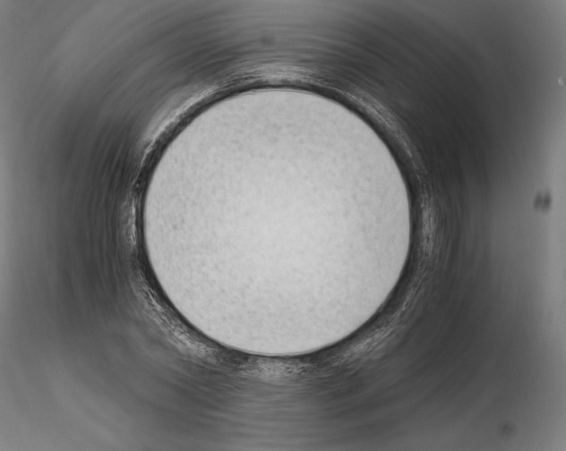 X0000115080782200912081210