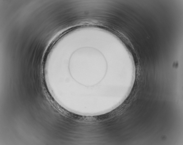 X0000115080784200912081210