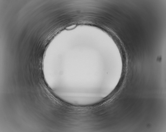 X0000115080785200912081210