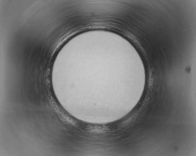 X0000115080786200912081210