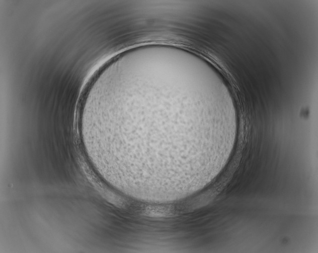 X0000115080788200912081210