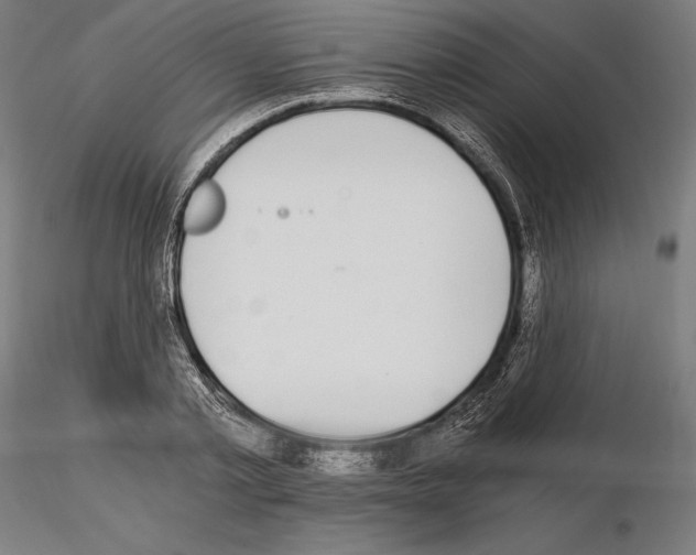 X0000115080789200912081210