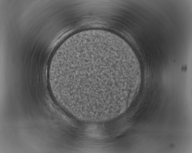 X0000115080790200912081210