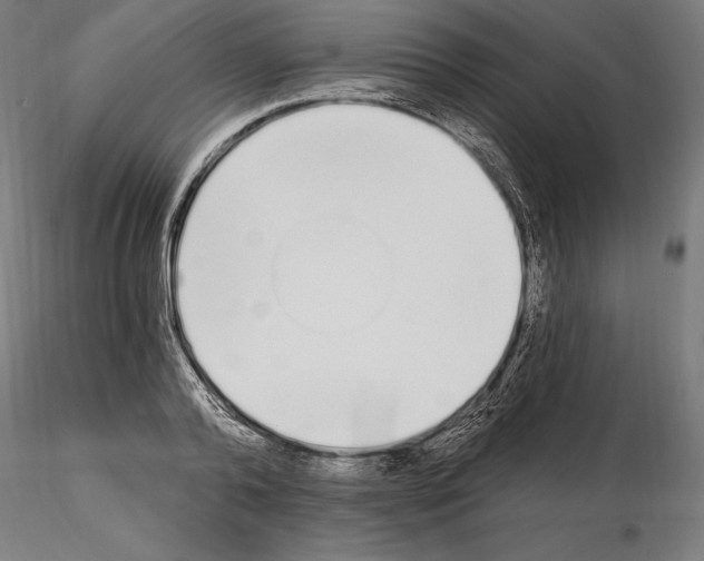 X0000115080792200912081210