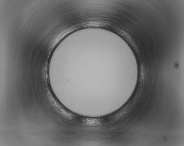 X0000115080794200912081210