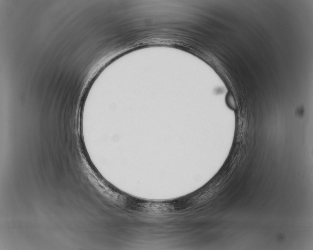 X0000115080795200912081210