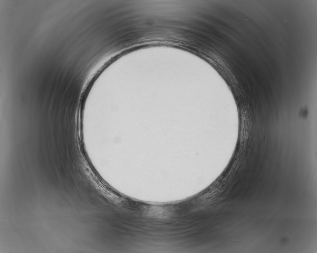 X0000115080796200912081210