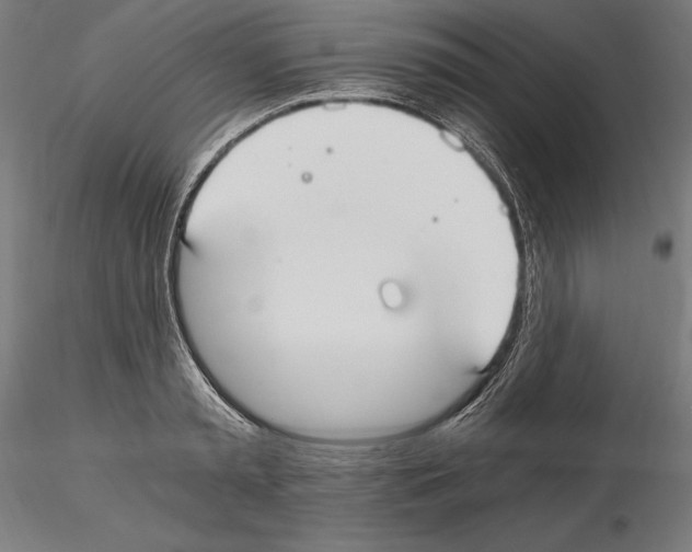 X0000115080797200912081210