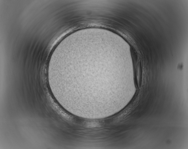 X0000115080798200912081210