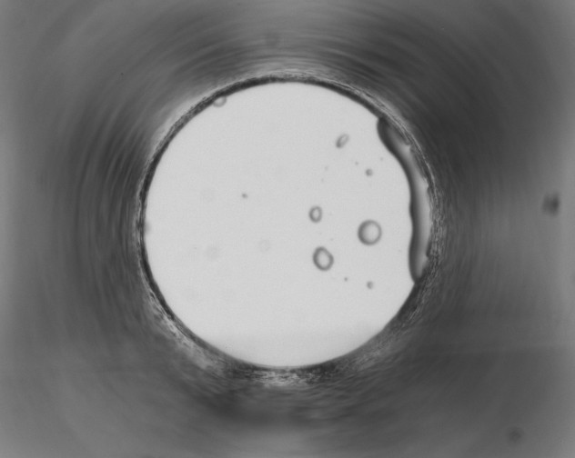 X0000115080799200912081210