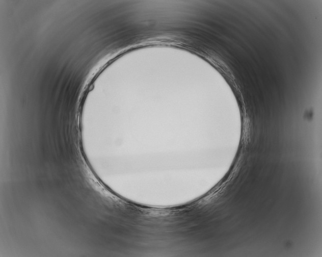 X0000115080800200912081210