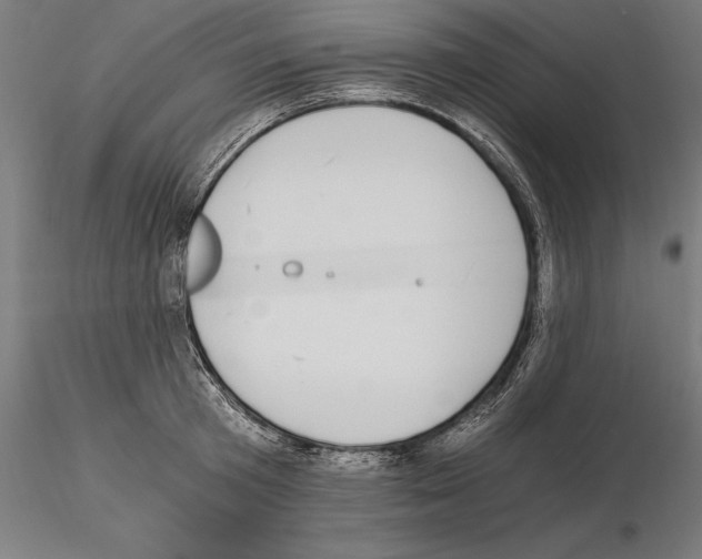 X0000115080801200912081210