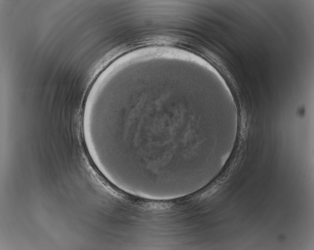 X0000115080802200912081210