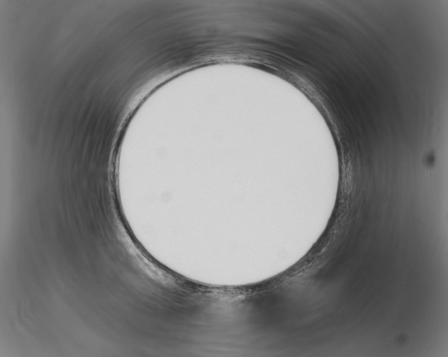 X0000115080803200912081210