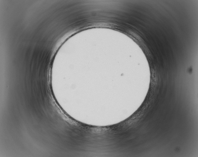 X0000115080804200912081210