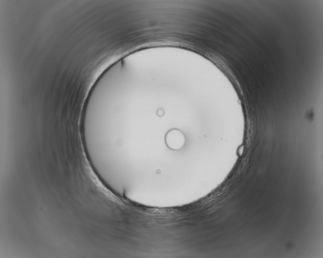 X0000115080805200912081210