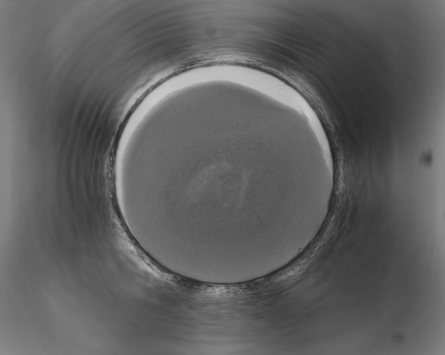 X0000115080806200912081210