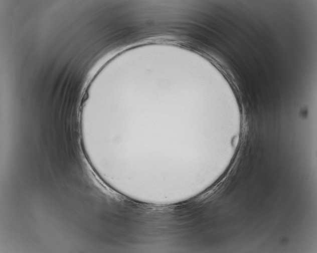 X0000115080808200912081210