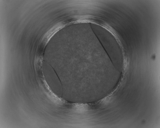 X0000115080809200912081210