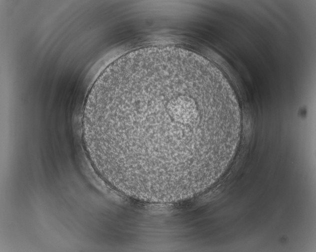 X0000115080810200912081210