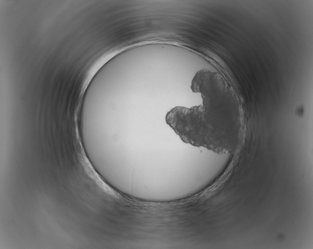 X0000115080812200912081210