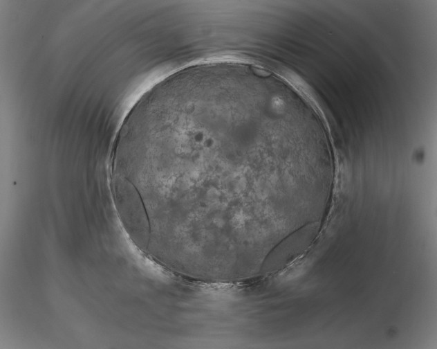 X0000115080813200912081210